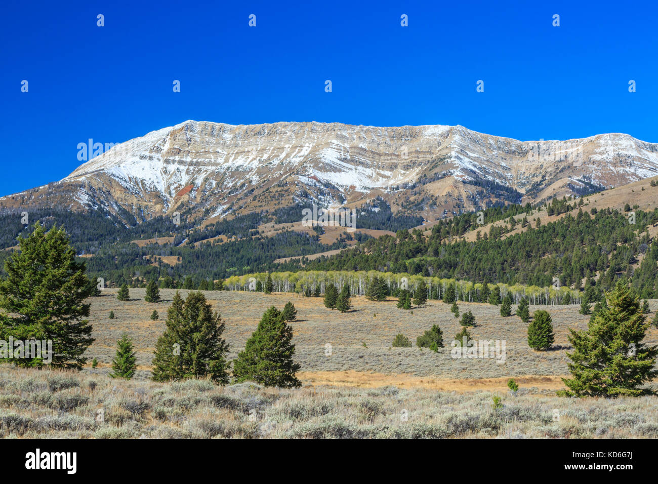 Ligne de crête dans la montagne près de l'aulne, gamme snowcrest montana Banque D'Images