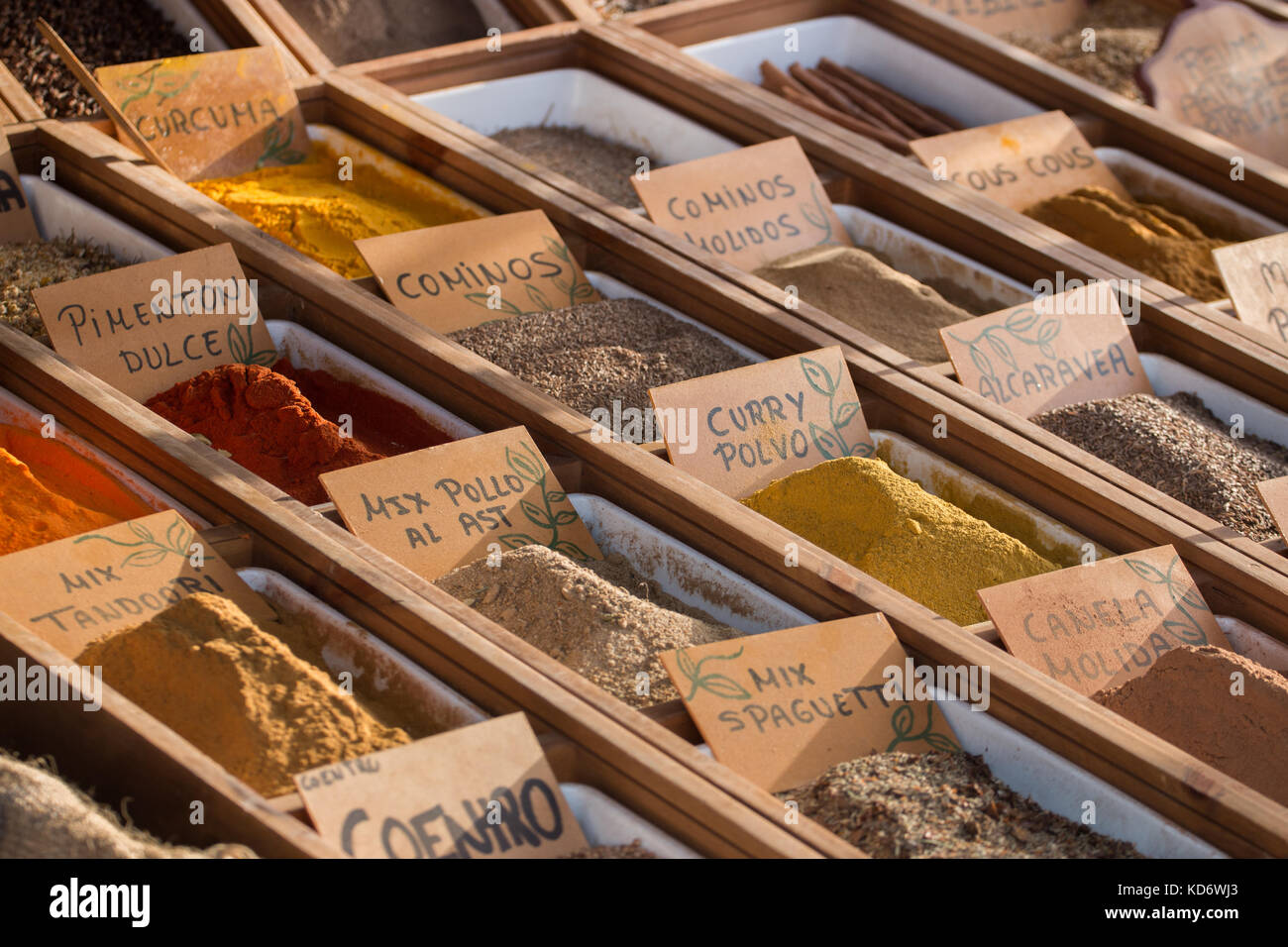 Un mélange de diverses épices en poudre. Banque D'Images