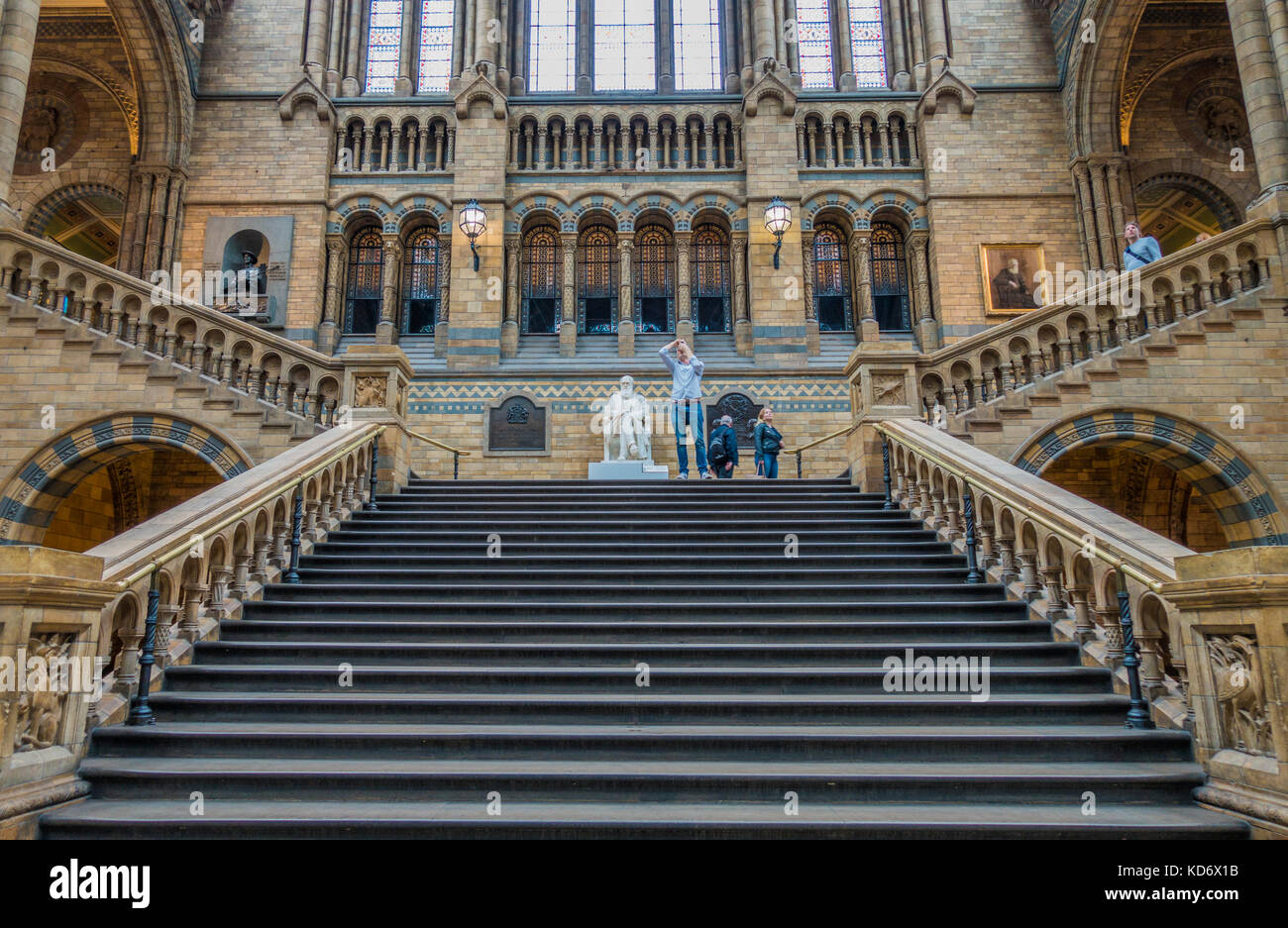 Escalier dans le hall principal, menant à la statue de Charles Darwin sur l'atterrissage, au Musée d'Histoire Naturelle, Kensington, Londres, Angleterre, Royaume-Uni. Banque D'Images