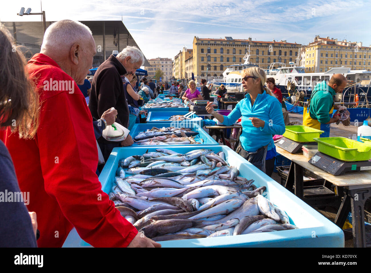 Marché du poisson au vieux cadre (vieux port) à Marseille, France Banque D'Images