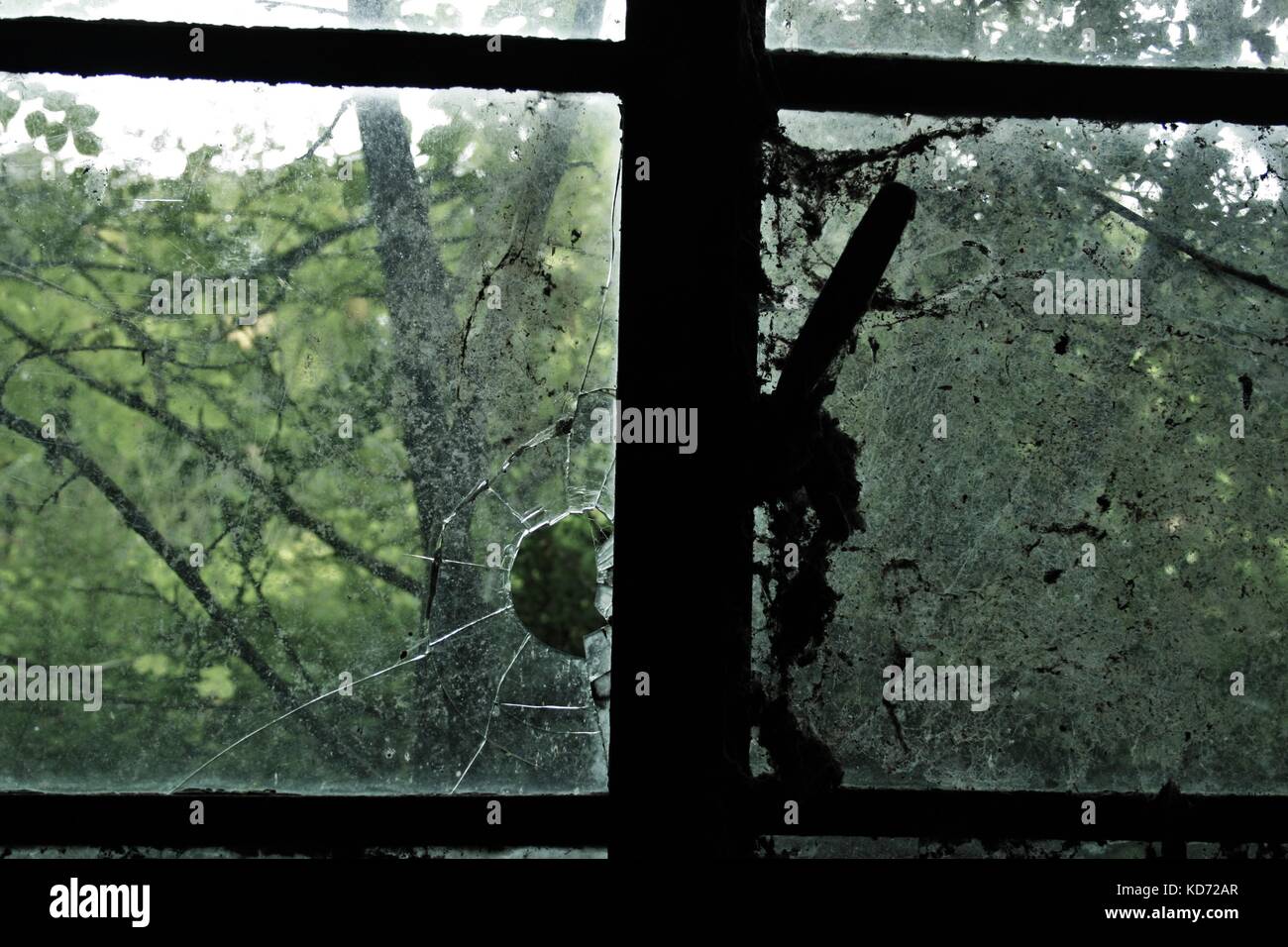 À la recherche par le biais d'une fenêtre fissurée sale dans une vieille forêt Banque D'Images