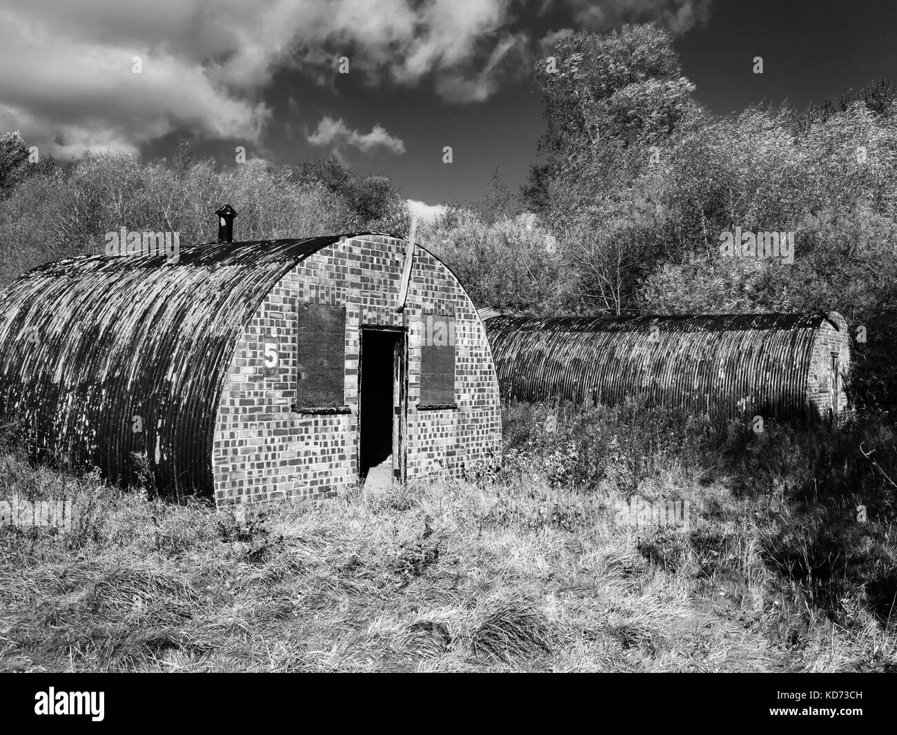 Cabanes de Nissen d'un ancien camp d'entraînement de la Seconde Guerre mondiale à Holbeck Wood Bishop Monkton Yorkshire Angleterre Banque D'Images