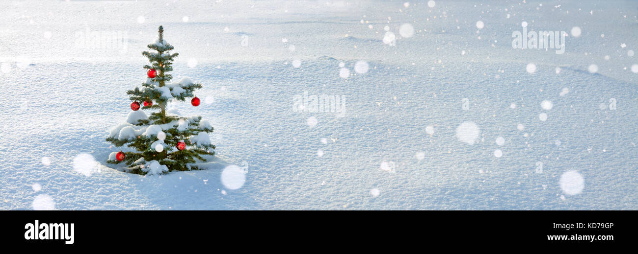Panorama Dhiver Sapin De Noël Avec Décoration Rouge Et