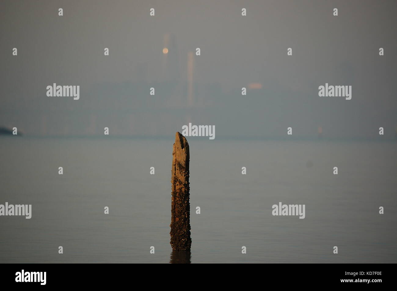 San Francisco, Californie, USA. 10 oct, 2017. crédit : Peter Graham/Alamy live news Banque D'Images