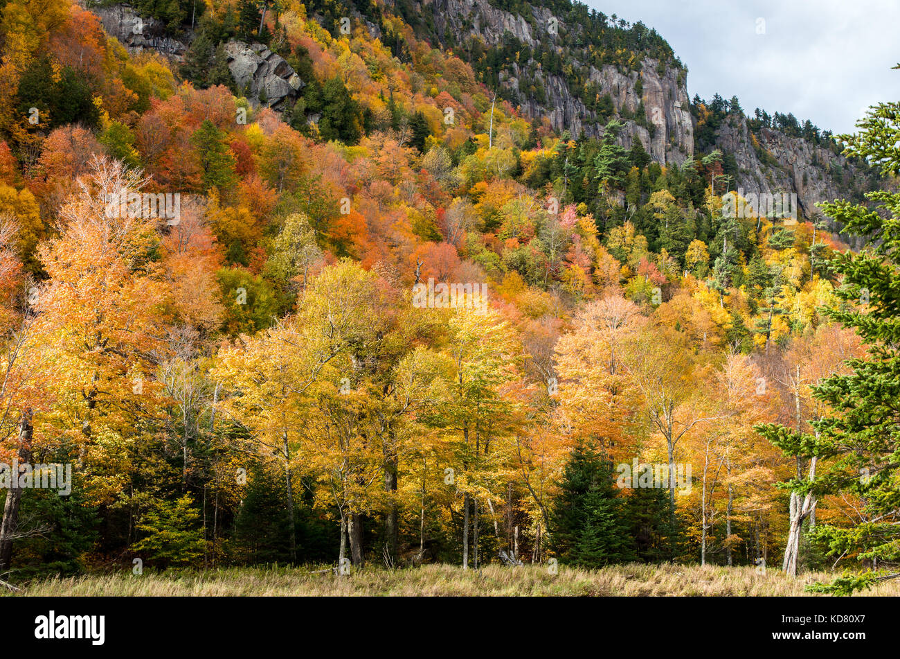 La couleur de l'automne dans les montagnes Adirondack autour du lac Placid NY Banque D'Images