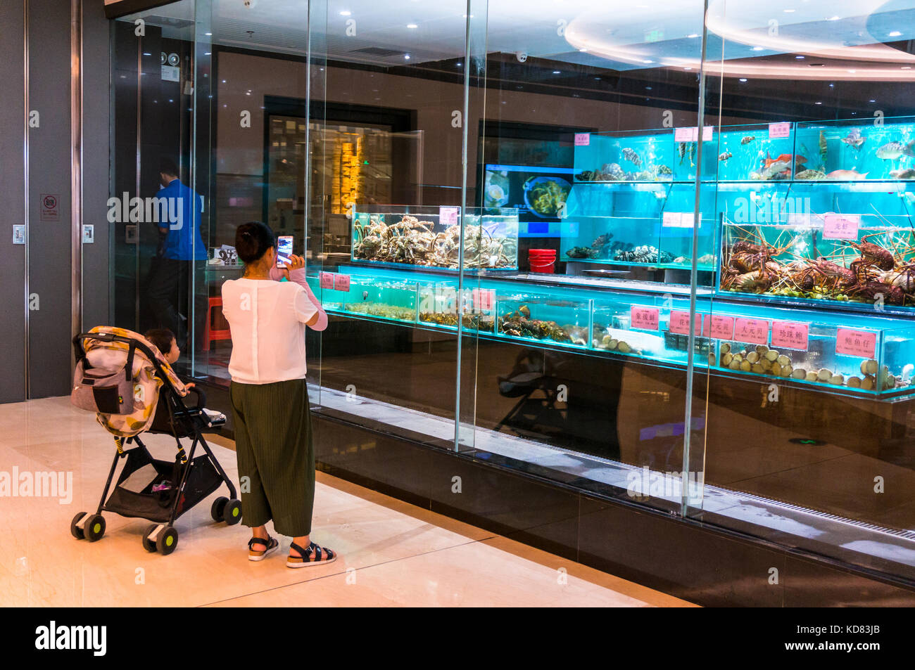 Photographier une femme et des fruits de mer vivants dans un restaurant de fruits de mer chinois à Shenzhen, Chine Banque D'Images