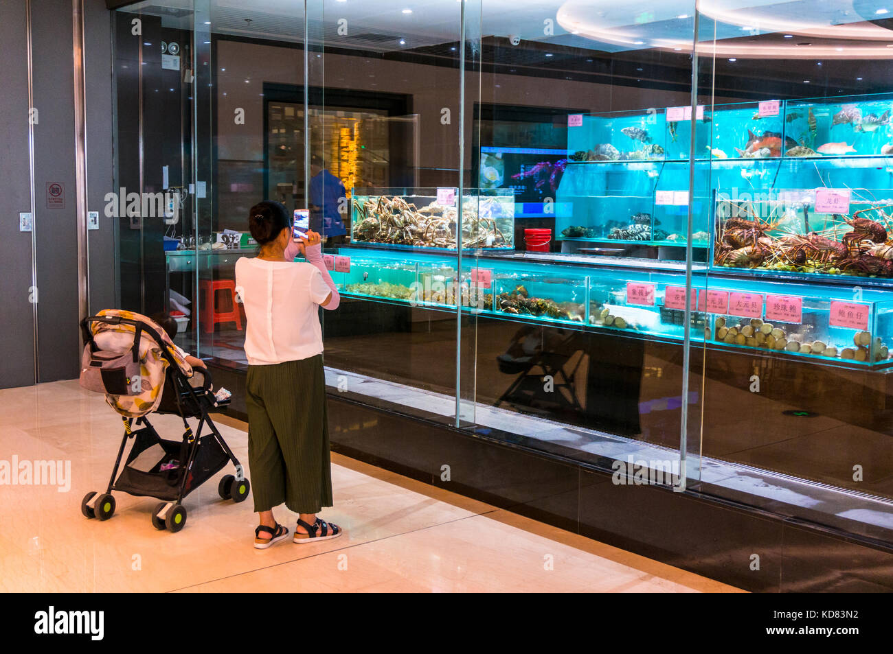 Woman taking photos de fruits de mer vivants dans des réservoirs à un restaurant de fruits de mer chinois à Shenzhen, Chine Banque D'Images