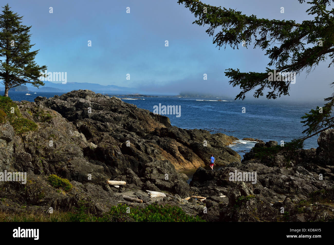 Un jeune homme à la découverte de la côte rocheuse le long de la piste de la côte ouest près de Ucluelet sur l'île de Vancouver en Colombie-Britannique, Canada. Banque D'Images