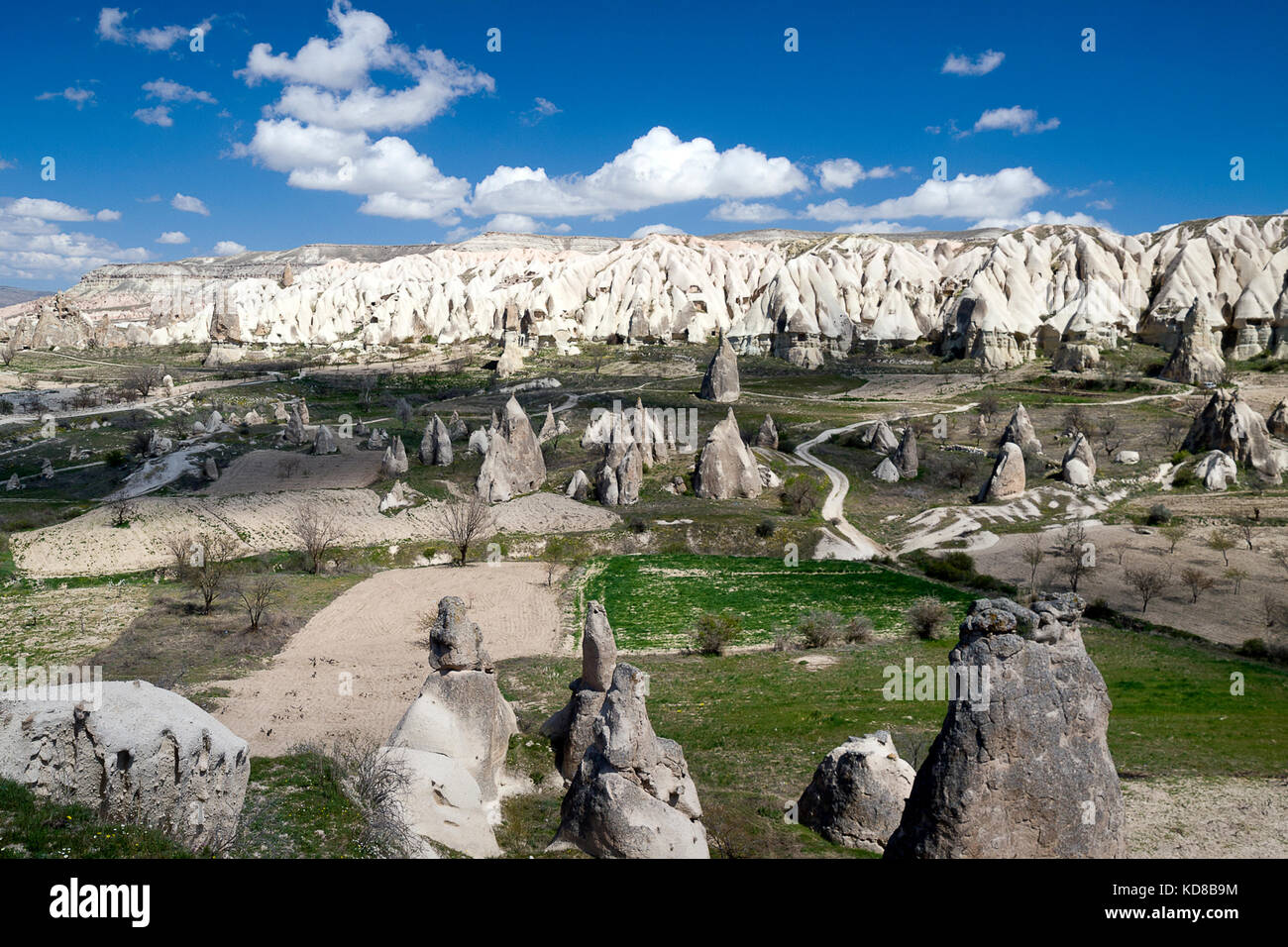 Vallée blanche, Goreme, Cappadoce, Turquie Banque D'Images