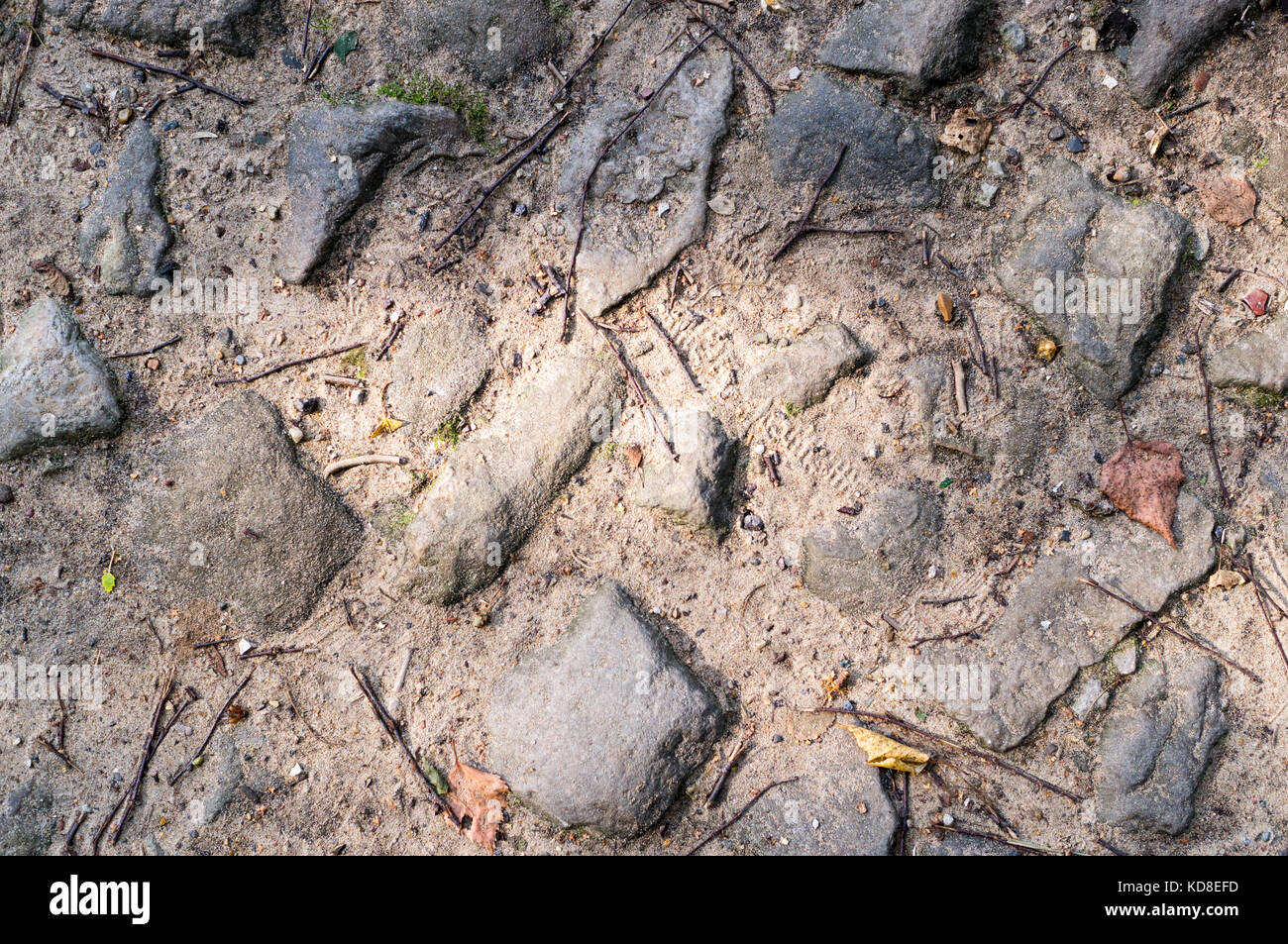 Chemin de pierres grises au sol. la texture, l'arrière-plan. Banque D'Images