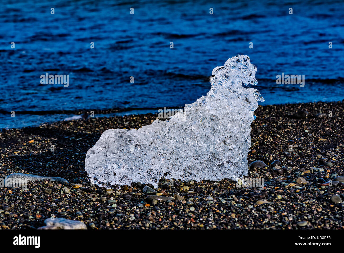 Sculpture de glace naturel ressemblant à un hippocampe jokulsarlon sur la plage de sable noir dans le sud de l'islande Banque D'Images