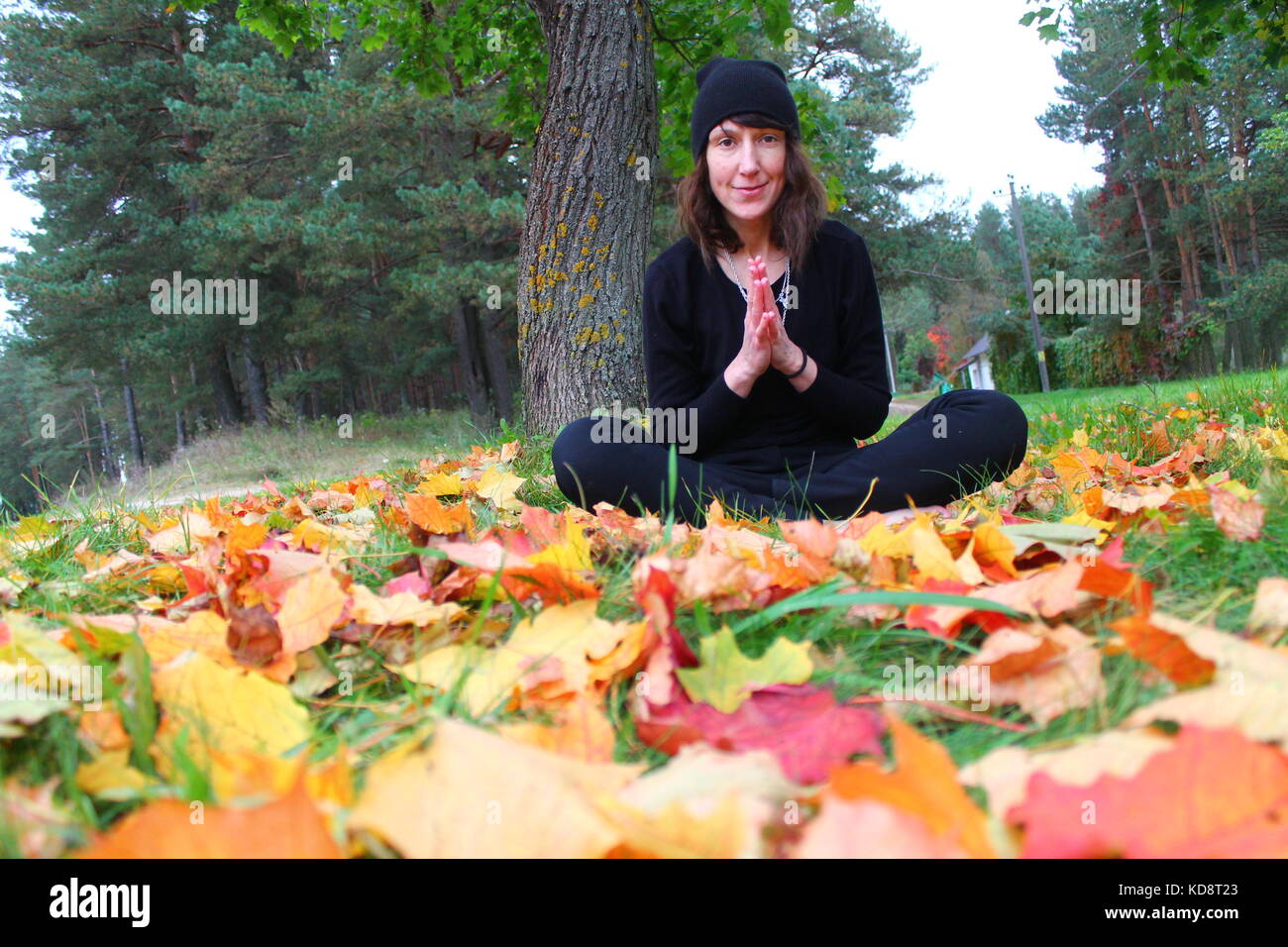 Belle femme souple fait la pratique du yoga sur l'herbe verte couverte de feuillage automne lumineux Banque D'Images