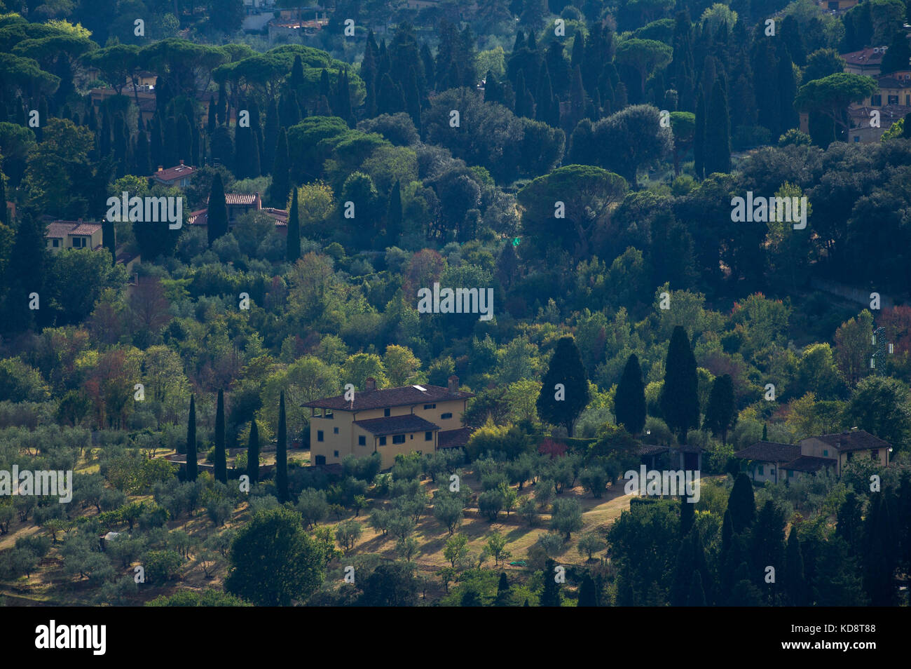 Olive Grove de Florence, Toscane, Italie. 26 août 2017 © Wojciech Strozyk / Alamy Stock Photo Banque D'Images