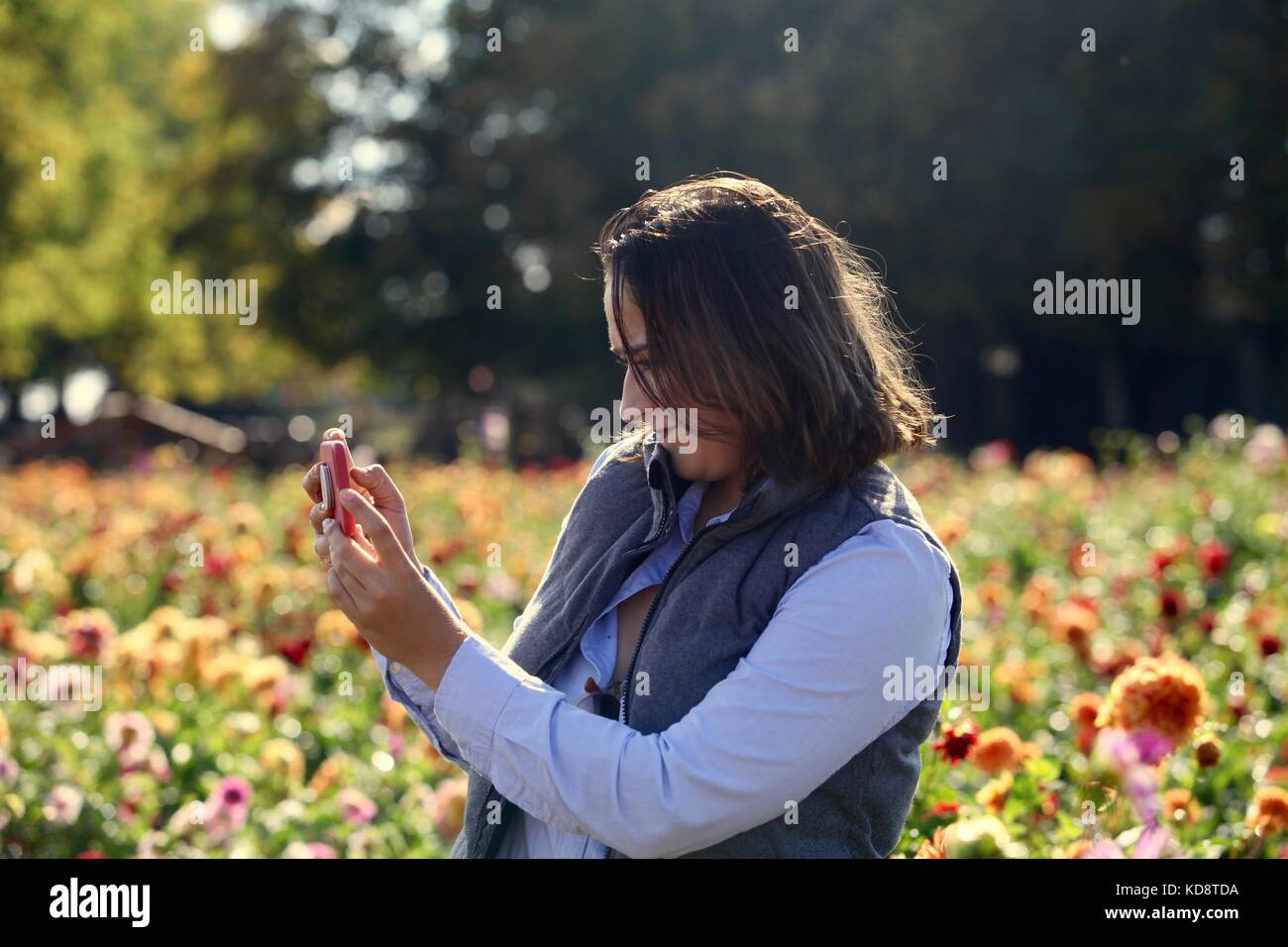 Jeune femme prend une photo d'un champ de fleur avec son smartphone Banque D'Images