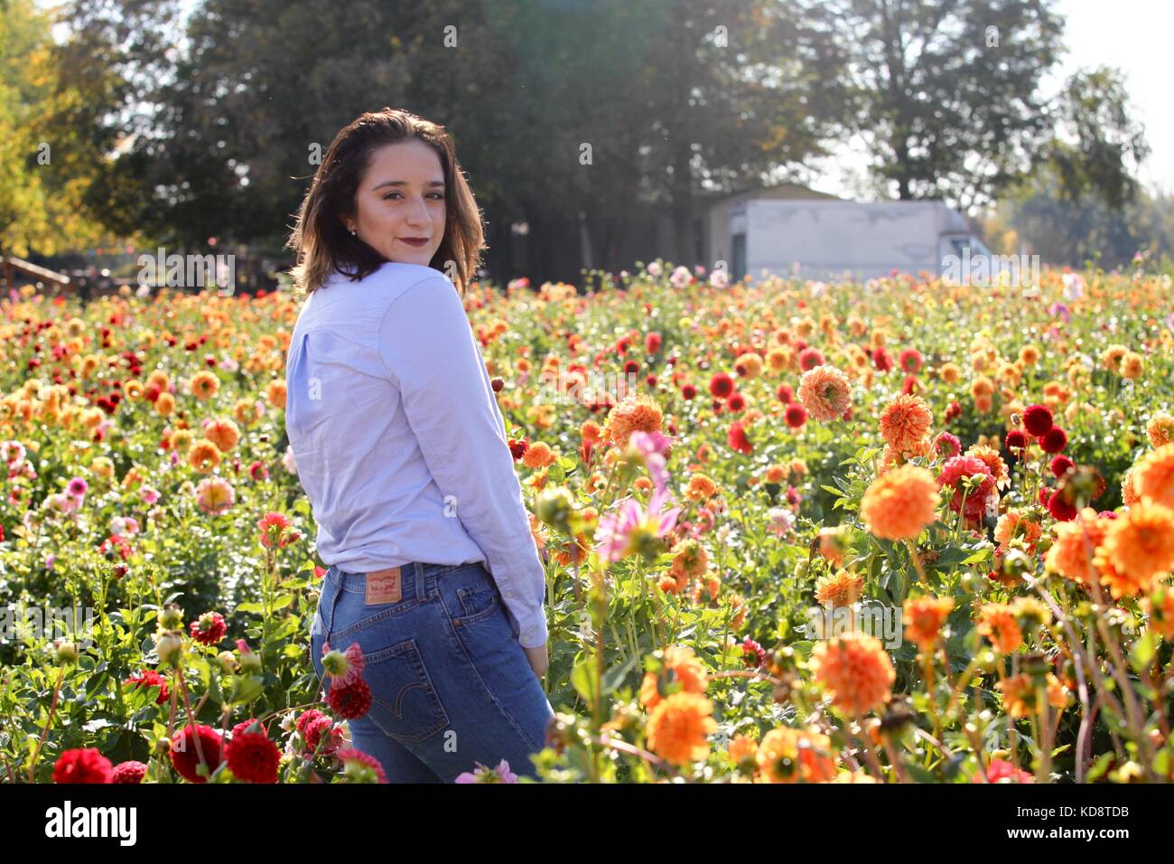 Portrait d'une jeune femme qui pose pour modèle l'appareil photo dans un champ de fleurs sauvages Banque D'Images