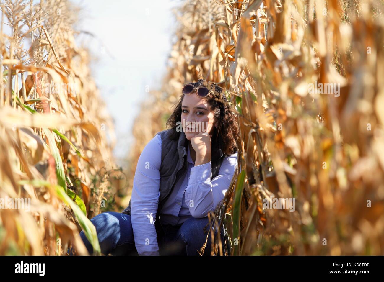 Portrait d'une jeune femme dans un champ de maïs Banque D'Images