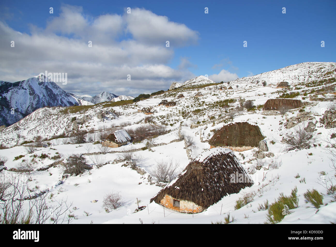 Avis de brana de mumian lors d'une journée ensoleillée d'hiver, somiedo. asturies. L'Espagne. Banque D'Images