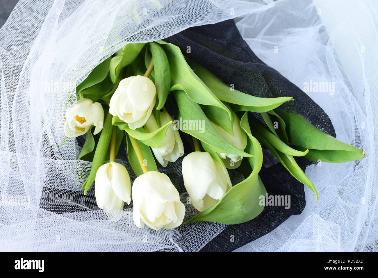 Tulipes blanches dans un tissu noir blanc- concept de mariage. Banque D'Images