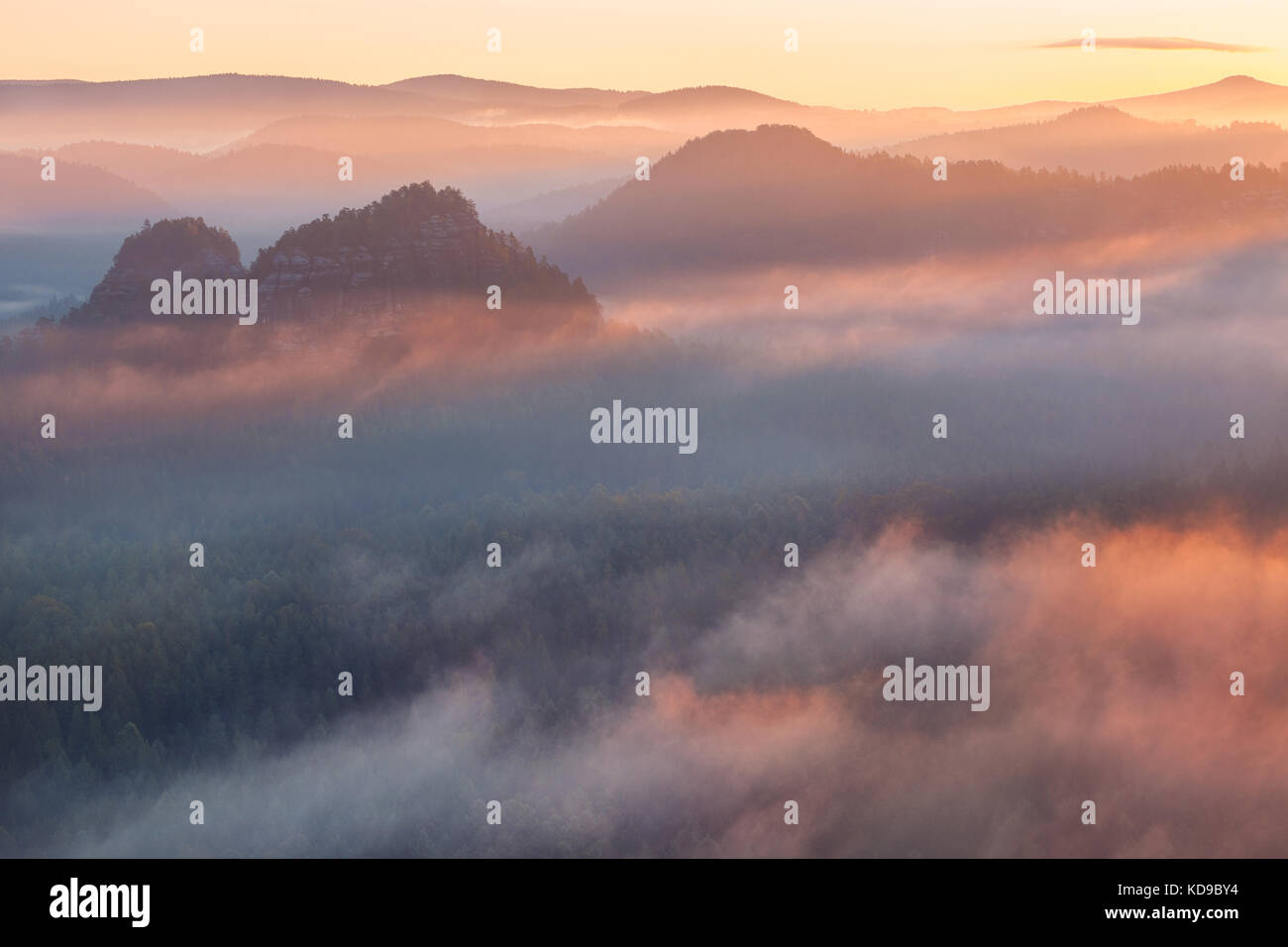Sunrise de foggy Kleiner Winterberg dans le parc national de la Suisse Saxonne, Allemagne Banque D'Images