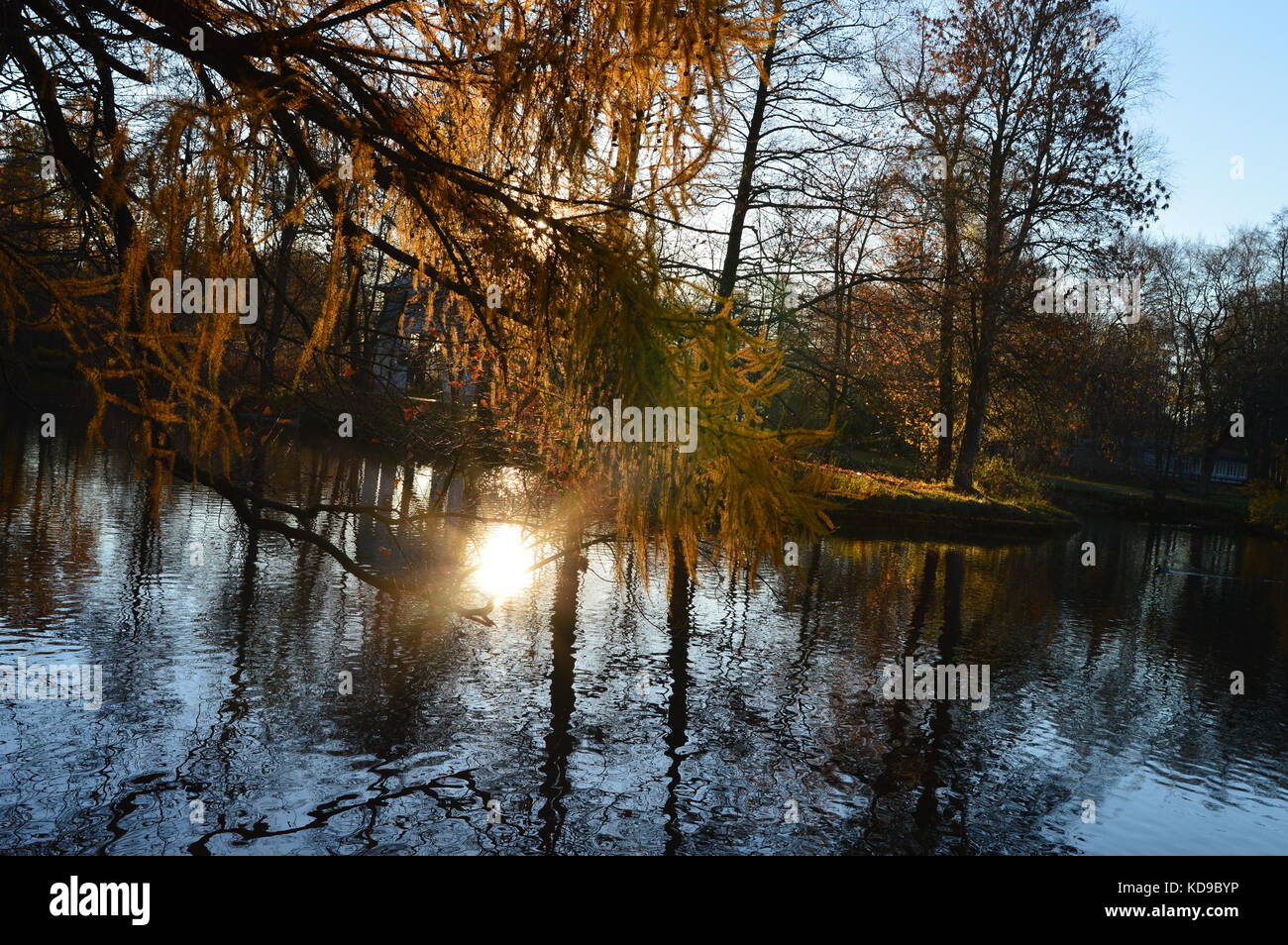 Matin d'automne un très brillant sunbeam sur la surface de l'eau d'un étang du parc Banque D'Images