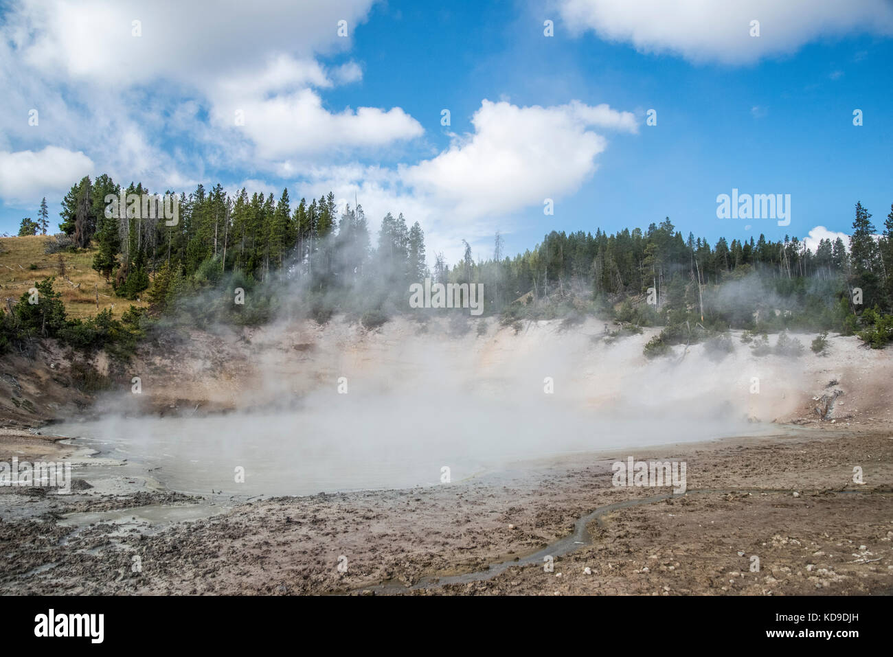 Volcan de boue bassin géo-thermique au parc national de Yellowstone, Wyoming Banque D'Images