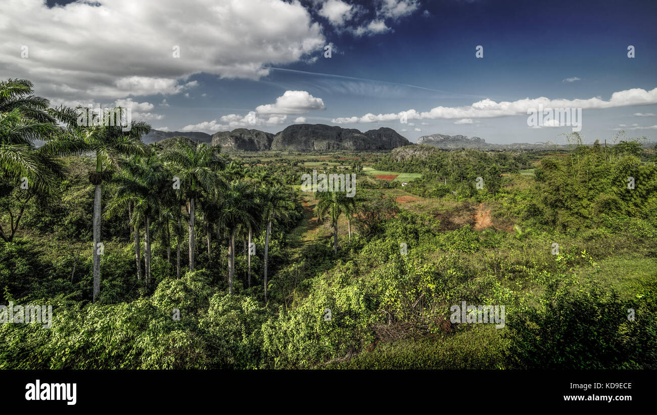 Reisen, Kuba, Pinar del Rio, Vinales, Vinales Tal, janvier 09. Blick in das Vinales Tal in Kuba (photo d'Ulrich Roth, www.ulrich-roth.com) Banque D'Images