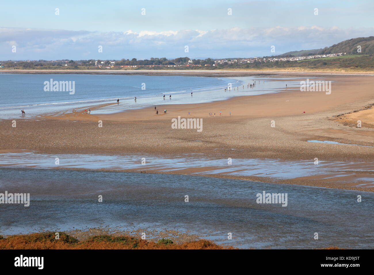 Un groupe de chevaux à la suite de l'autre sur une randonnée à travers les dunes de sable et le long de Merthyr Mawr près de Bridgend avec un dernier galop sur la plage. Banque D'Images