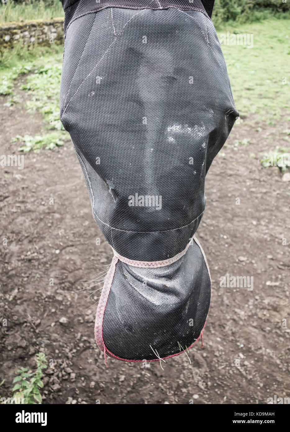 L'endosser des fly mask. uk Banque D'Images