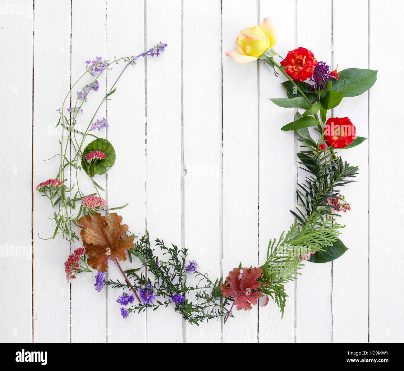 Floral frame rétro sur fond de bois blanc. Banque D'Images