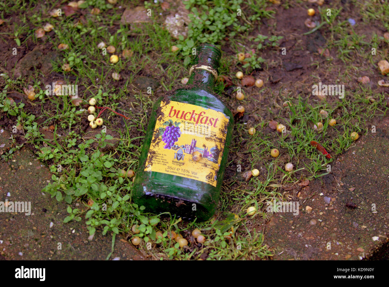 Buckfast jetés sur terre vase grass glasgow scottish problème d'alcool santé Glasgow Banque D'Images