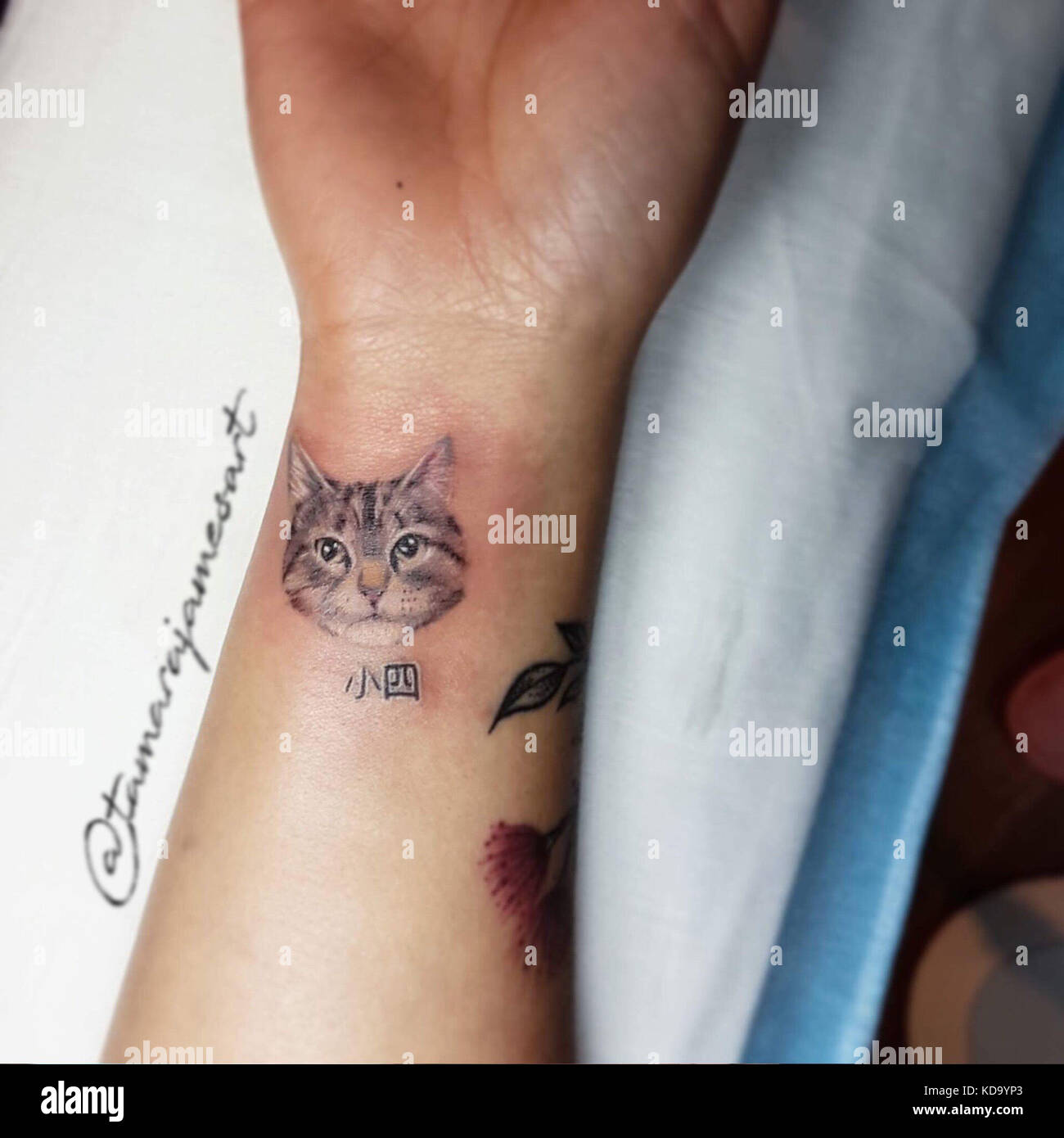 Chats De Tatouage Banque De Photographies Et D Images A Haute Resolution Alamy