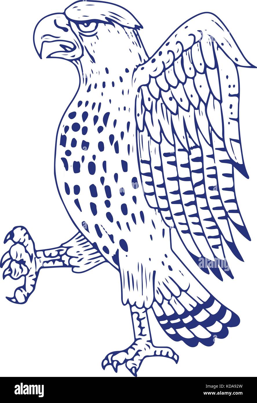 Croquis dessin illustration d'un style l'épervier brun, une espèce d'oiseau de proie diurne de la famille des accipitridae marchant vue latérale sur des b Illustration de Vecteur