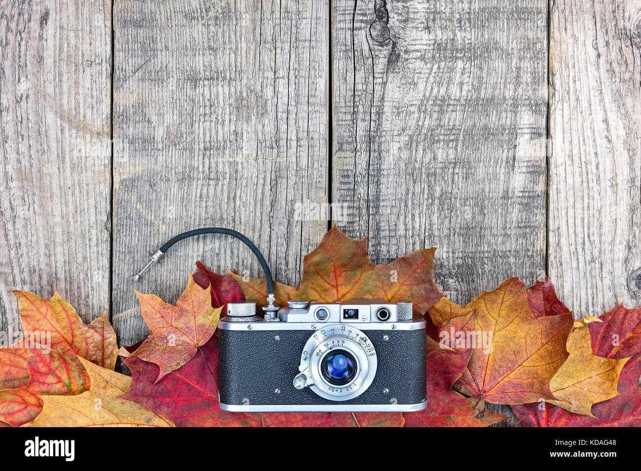 Ancien appareil photo classique grunge sur fond de bois coloré sec avec les feuilles d'automne Banque D'Images