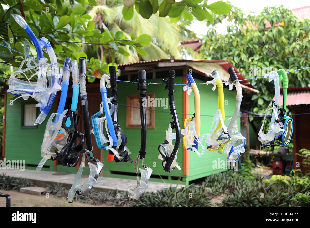 Tubas et lunettes de séchage, Punta Uva, Puerto Viejo de Talamanca, province de Limón, mer des Caraïbes, le Costa Rica, Amérique Centrale Banque D'Images