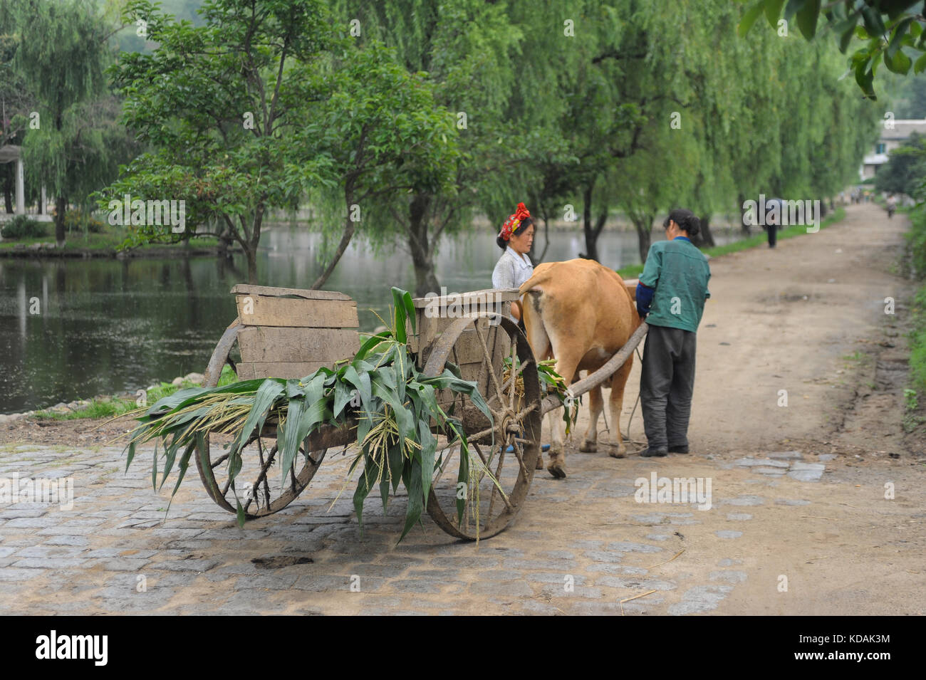 12.08.2012, Wonsan, la Corée du Nord, en Asie - deux paysans nord-coréens sont vu debout à côté d'une charrette à l'chonsam coopérative agricole près de Wonsan. Banque D'Images