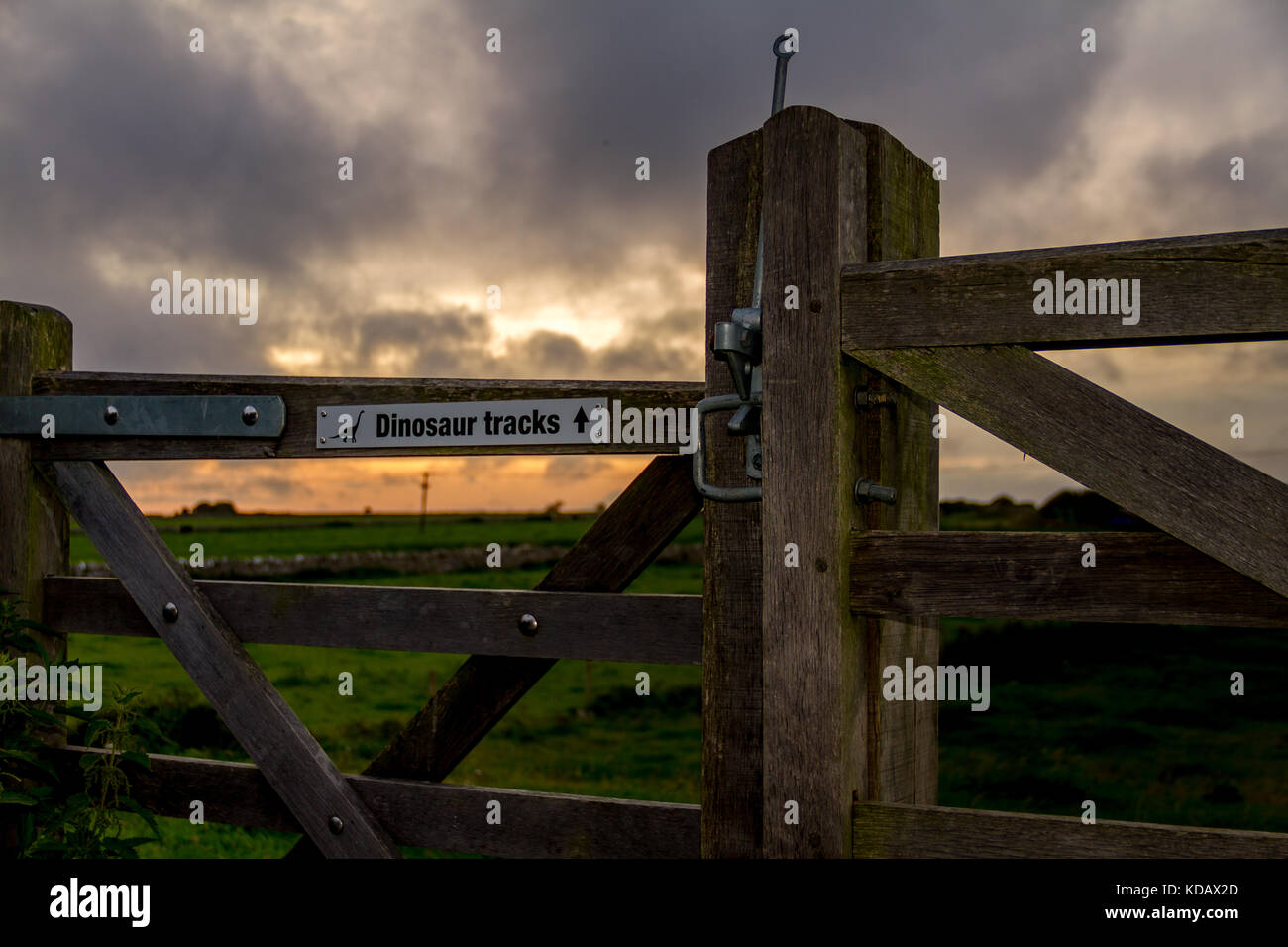 Gate avec des directions pour l'empreintes de dinosaures sur les prêtres chemin entre Langton et Worth Matravers, Dorset, UK Banque D'Images