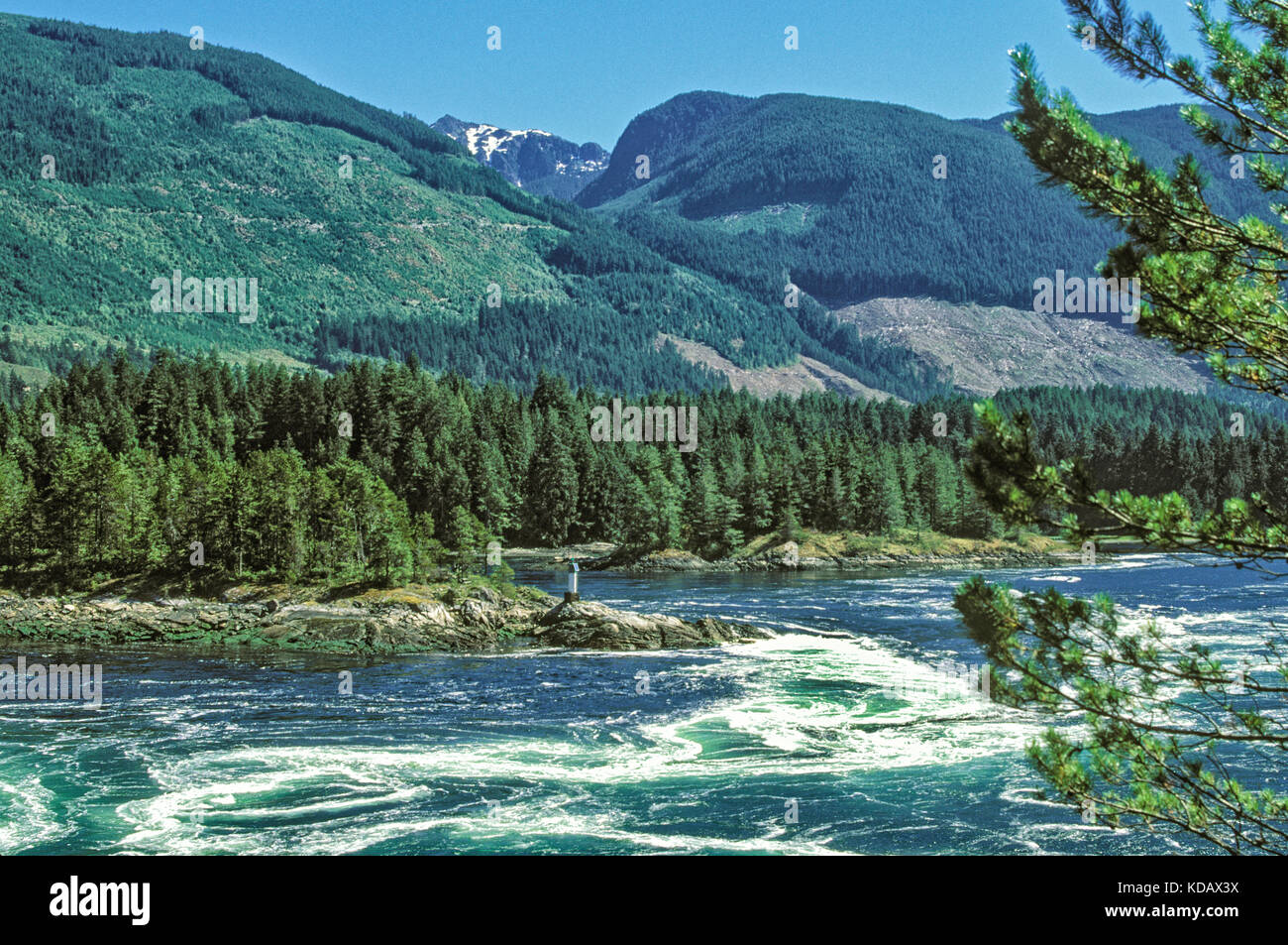 Skookumchuck Narrows, Sunshine Coast, British Columbia, Canada Banque D'Images