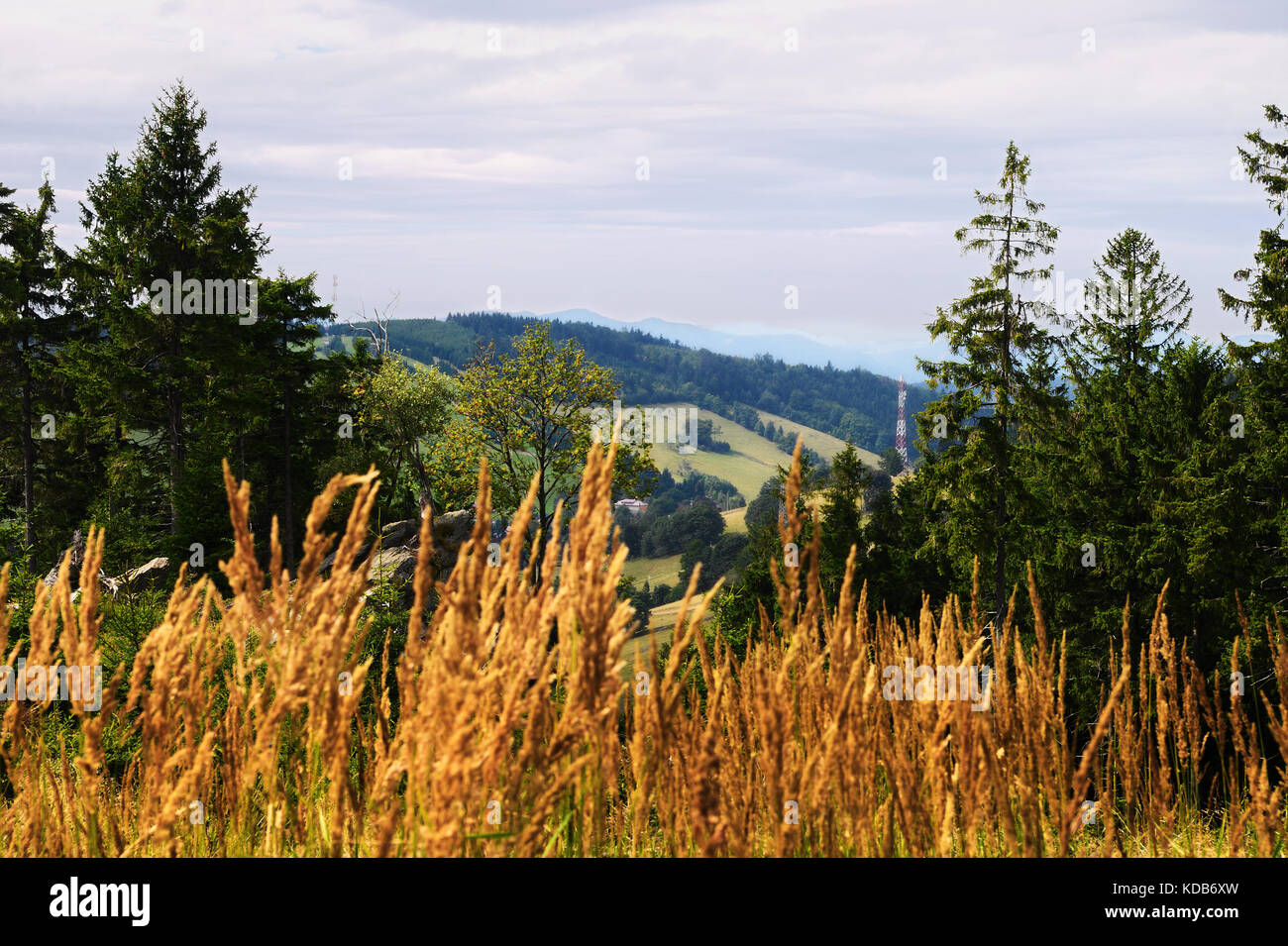Vaste panorama vue depuis la colline boisée dans le parc paysage montagnes owl, sudetes, campagne au sud-ouest de la Pologne. Banque D'Images