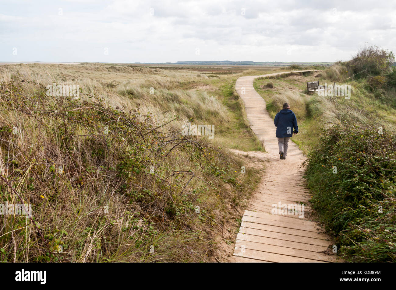 Femme marche sur la promenade à travers les dunes à Holme sur la côte nord du comté de Norfolk. Banque D'Images