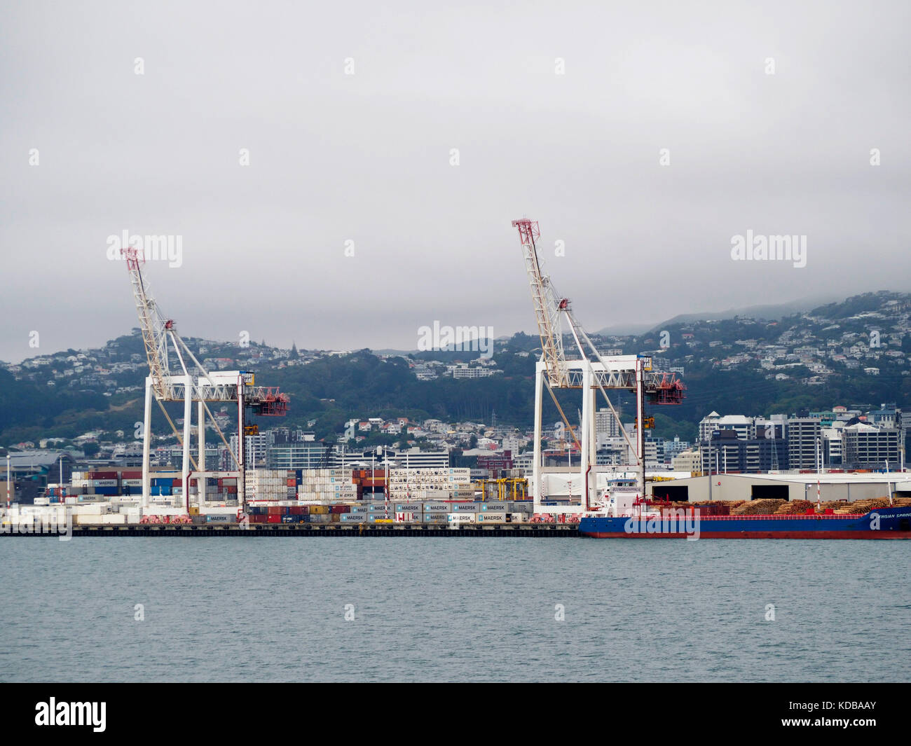 Grand port de Wellington à grues en Nouvelle-Zélande. Banque D'Images