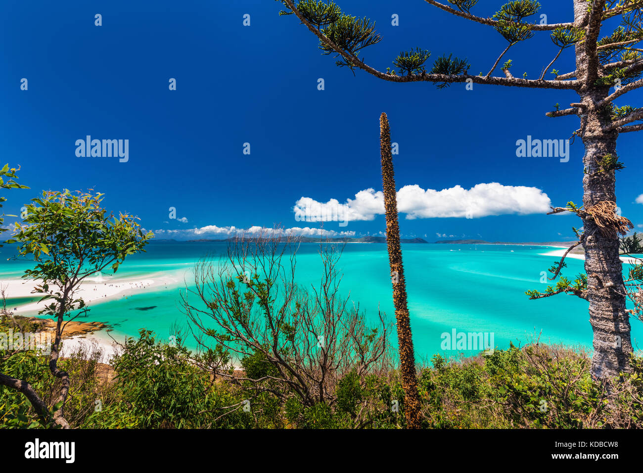Amazing célèbre Whitehaven Beach dans les Whitsunday Islands, Queensland, Australie Banque D'Images