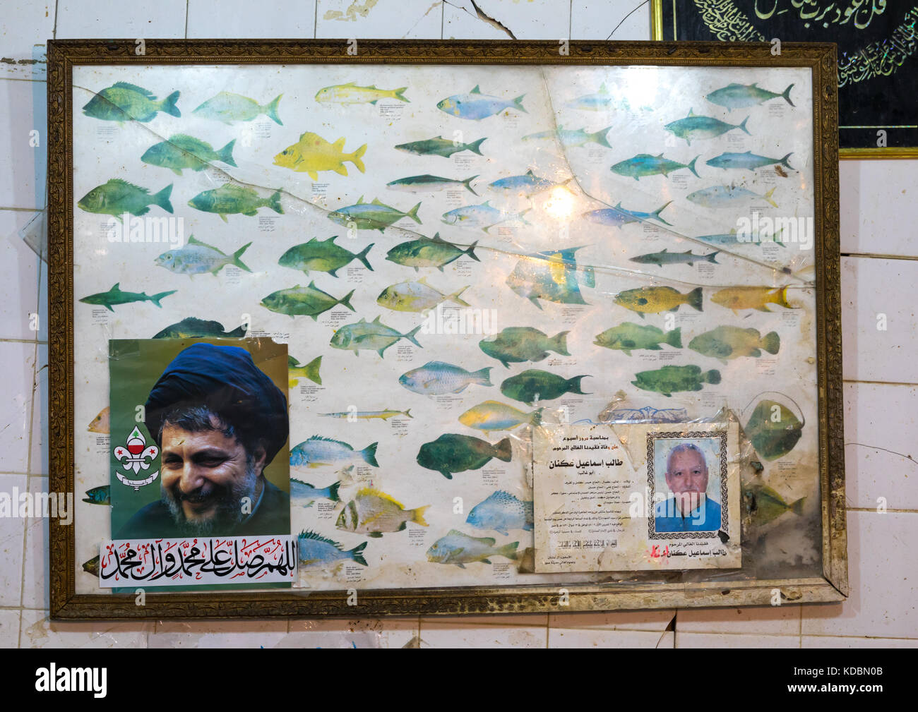 Carte des espèces de poissons avec un portrait de Moussa Sader, Gouvernorat du Sud, Tyr, Liban Banque D'Images