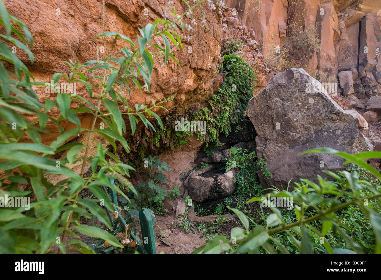 Suintement d'eau de source de la falaise en bassins de pierre dans la région de Ifonche, Adeje, Tenerife, Canaries, Espagne Banque D'Images