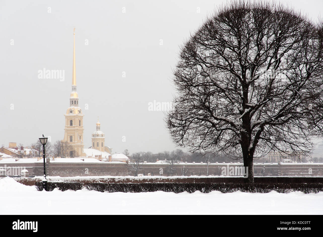 Monument touristique à saint Petersburg, Russie : la forteresse Pierre et Paul et de la cathédrale par une journée d'hiver avec beaucoup de neige autour. Banque D'Images