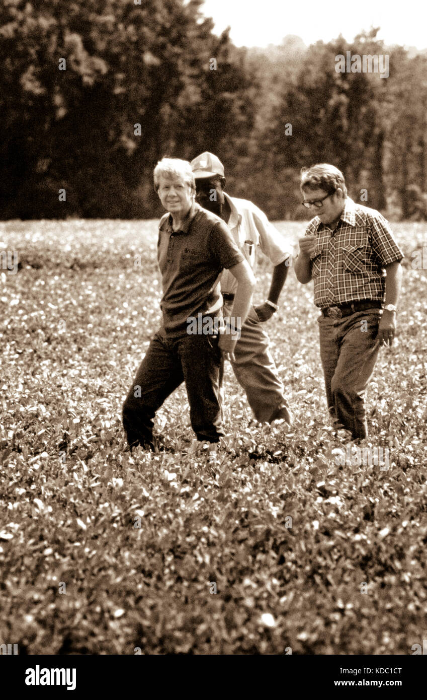 Le président Jimmy Carter et son frère Billy Carter sont rejoint par un fermier qu'ils évaluent leur récolte d'arachide d'été. Les carter propre étendues de f Banque D'Images