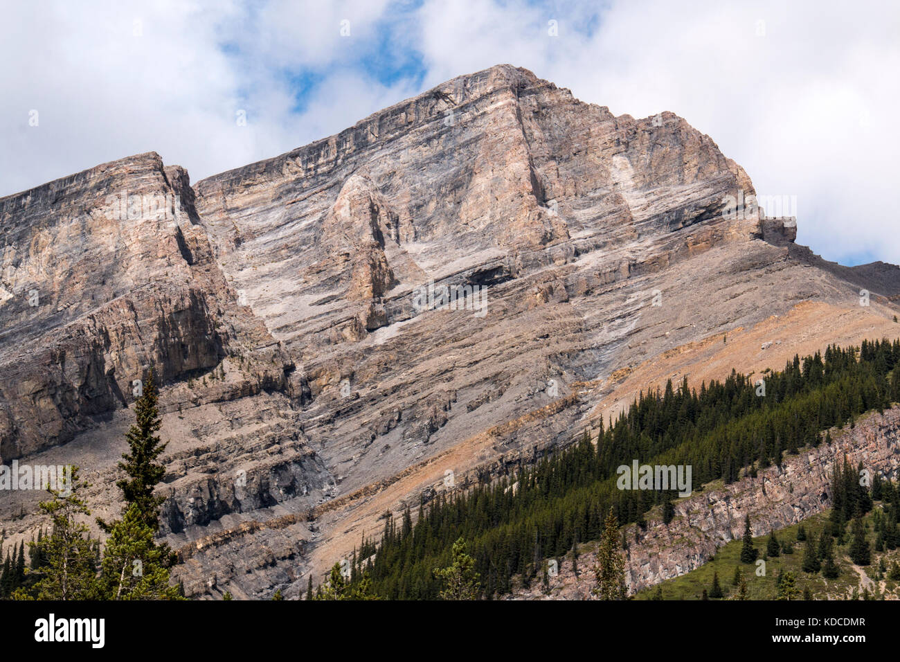 logo de montagne de photos primordiales