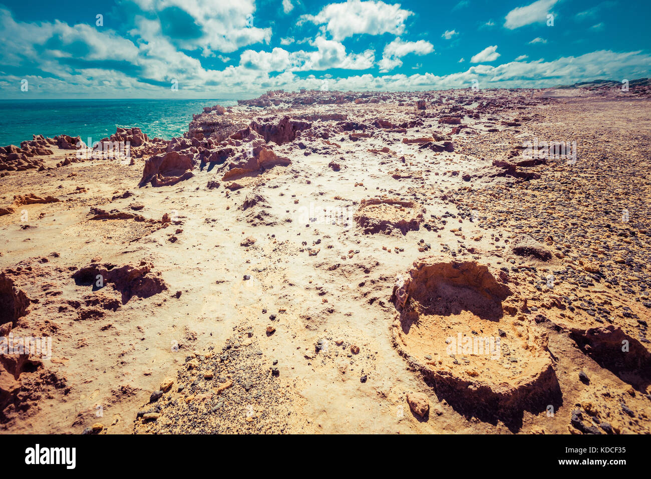 Paysage aride sous le soleil la chaleur. forêt pétrifiée, cape Bridgewater, Australie Banque D'Images