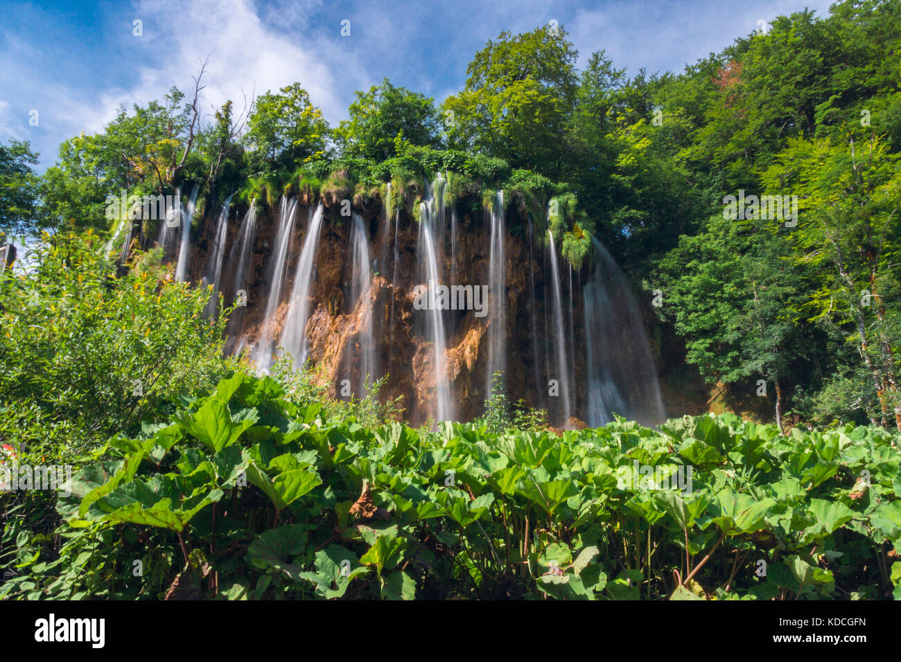 Les lacs de Plitvice, parc national, Croatie Banque D'Images