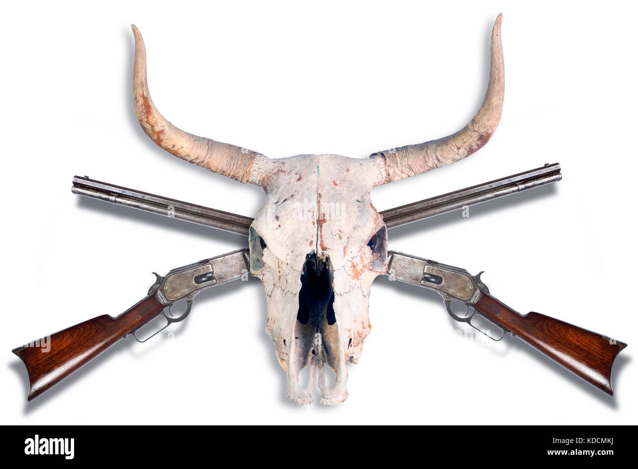 Cowboy Antique fusil à levier et crâne de vache . Banque D'Images