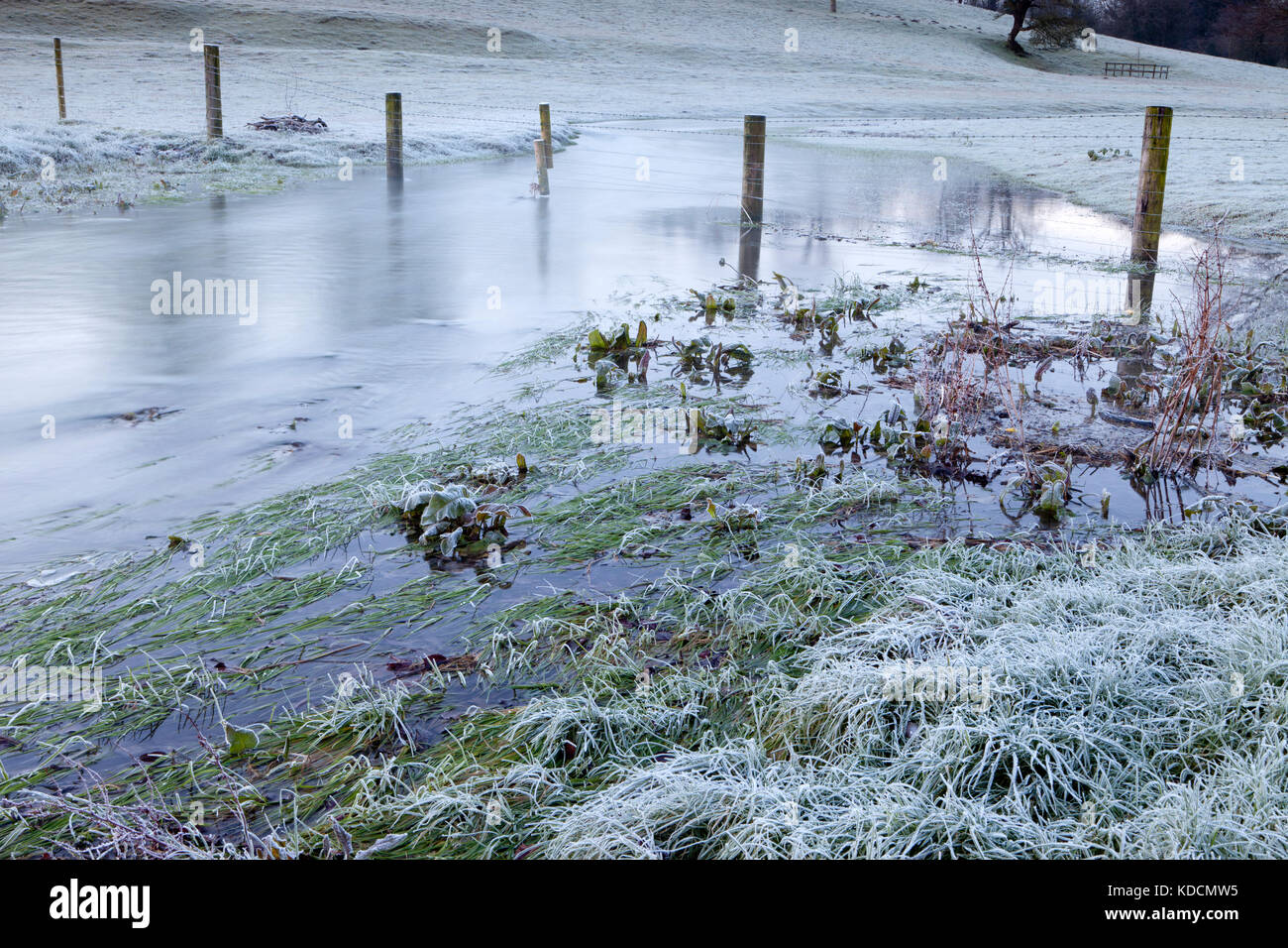 La rivière ebble à fifield bavant dans le Wiltshire sur un matin glacial. Banque D'Images